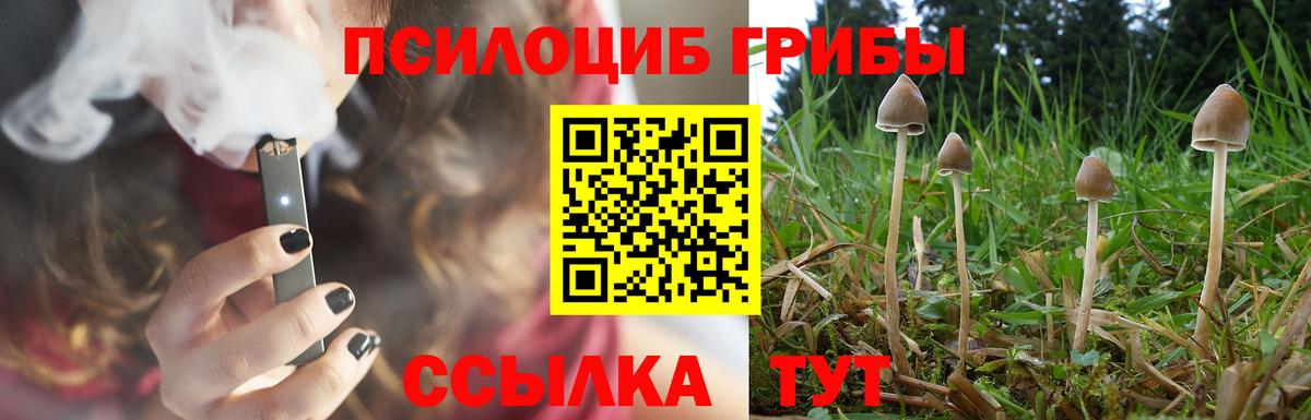 Галлюциногенные грибы Psilocybe  Галлюциногенные грибы мицелий  Вход с VPN  Гусев 